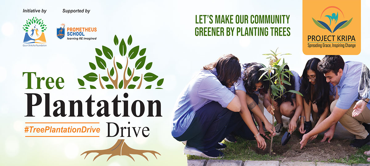 tree plantation drive